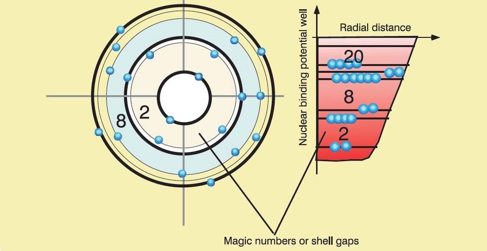 Diagram pokazujący klasyczne liczby magiczne dla protonów i neutronów oraz ich analogię do zamkniętych powłok.